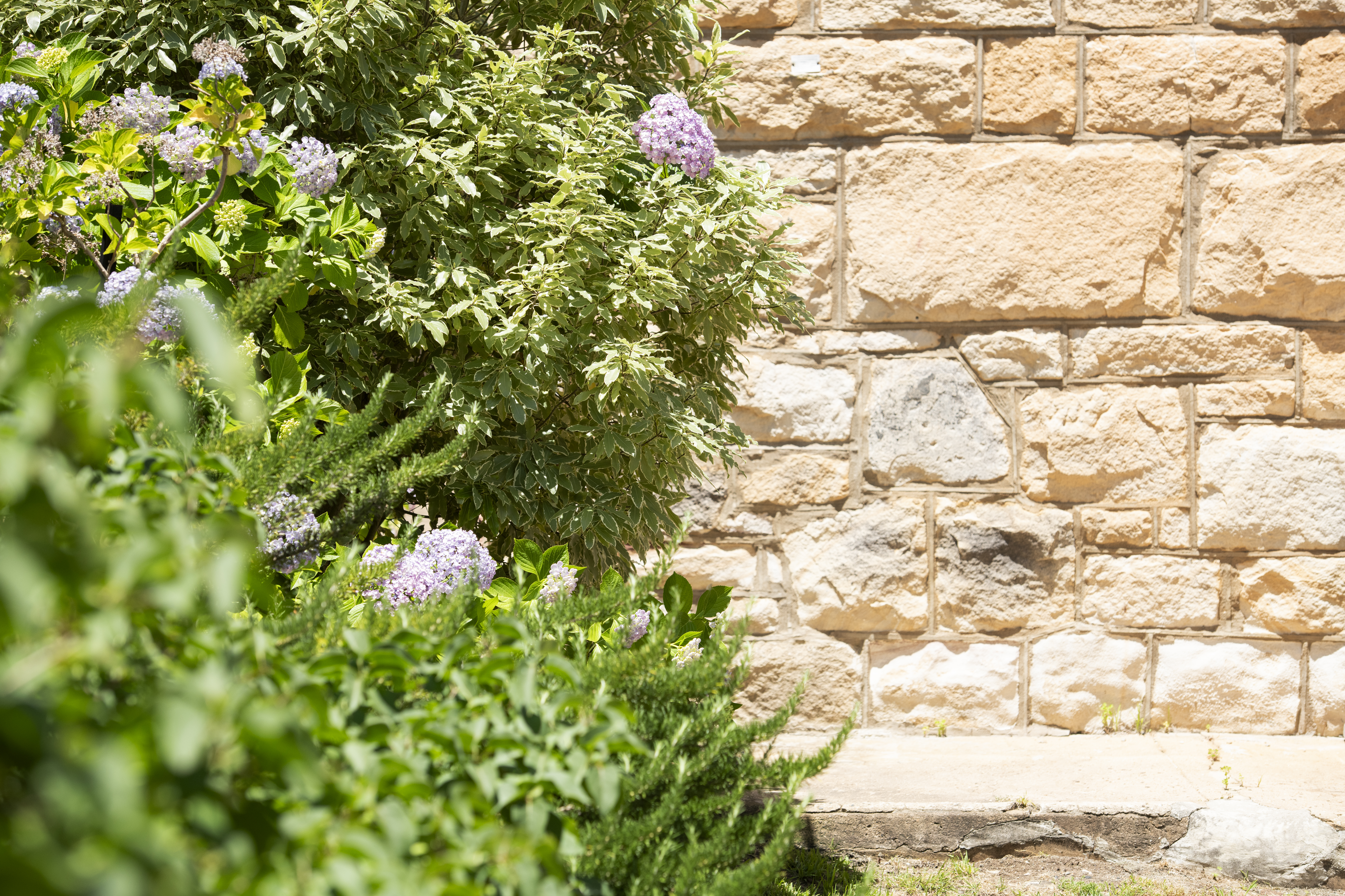 Sandstone exterior wall surrounded by greenery
